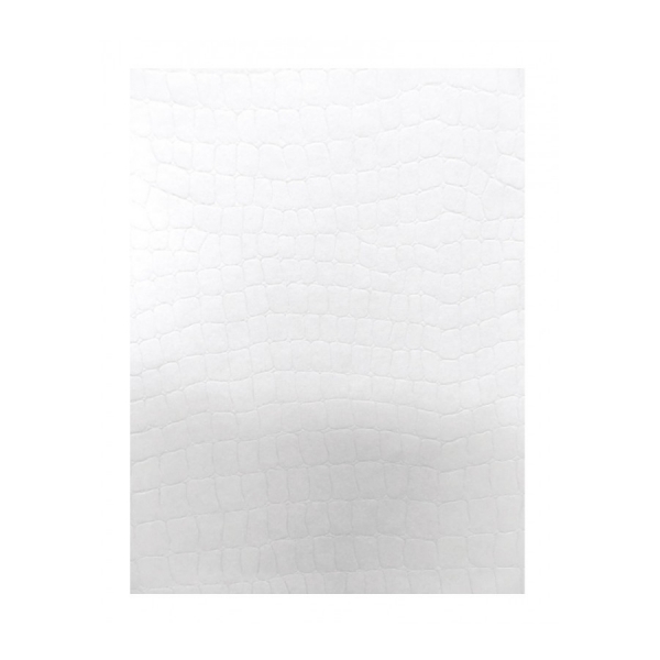 Apli Pack de 20 Hojas de Papel Textura Piel de Serpiente - Ideal para Ocasiones Especiales - Compatible con Impresoras Inkjet y Laser - Color Blanco