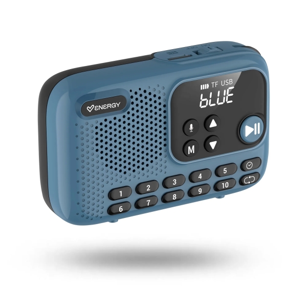 Energy Sistem TunerGo Radio Portatil FM - Bluetooth, USB, MicroSD, Jack3.5 - 5W - Bateria Hasta 10 Horas de Autonomia - Color Azul