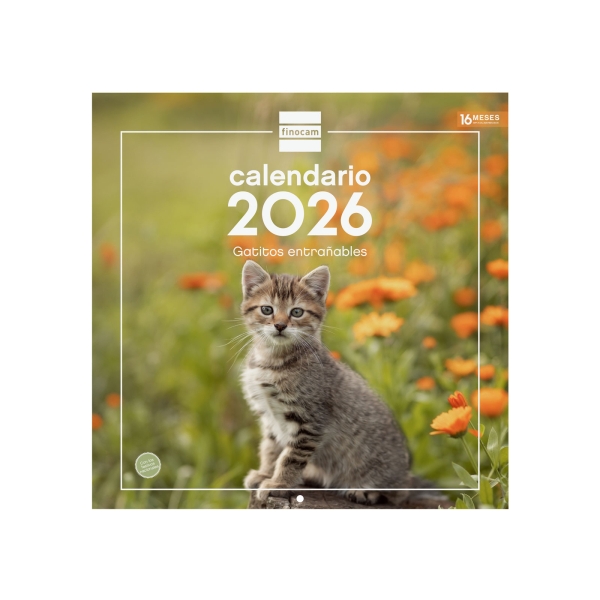 Finocam Calendario de Pared - Anual 2026 - Imagenes Variadas - 300x300mm - Espacio para Escribir - Tematica de Gatos