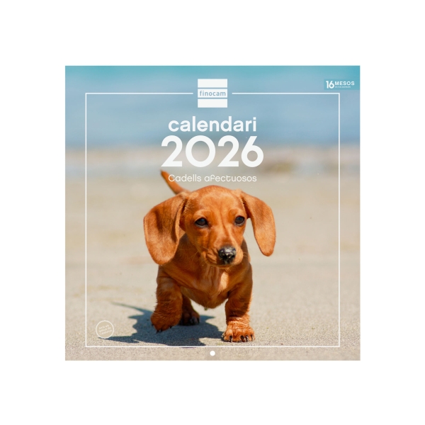 Finocam Calendario de Pared en Catalan - Anual 2026 - Imagenes Variadas - 300x300mm - Espacio para Escribir - Tematica de Cachorros