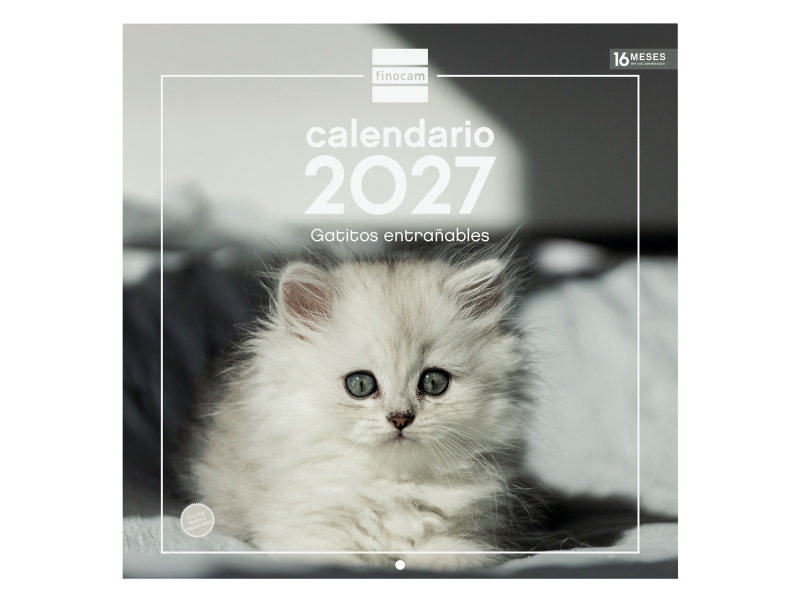 Finocam Gatitos Calendario de Pared - 16 Meses 26/27 - Mes Vista - 300x300mm - Papel de 170g/m2 - Imagenes Tematicas Surtidas - Espacio para Notas