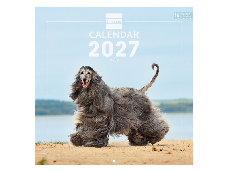 Finocam Dogs Calendario de Pared Internacional - 16 Meses 26/27 - Mes Vista - 300x300mm - Papel de 170g/m2 - Imagenes Tematicas Surtidas - Espacio para Notas - Multilenguaje